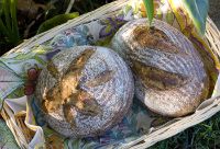 Coffee Potato Sourdough