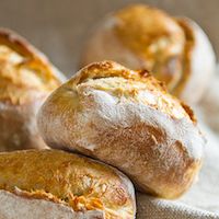 Potato Spelt Rolls