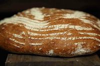 Pane Maggiore (bio)