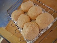 Dinner Rolls