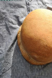 Wholemeal Honey Bread