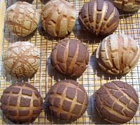 Mexican Conchas