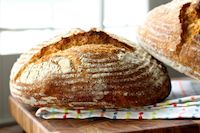 Harvest Bread With Poolish