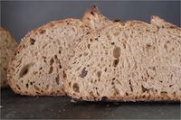 Ninety-five Percent Whole Grain Sourdough