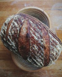 Sprouted Amaranth Bread