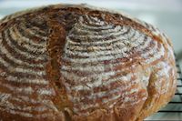 36Hr Onion And Light Rye Sour