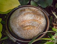 Oat Porridge Bread From Tartine 3