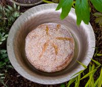 Ian's Oat Porridge Bread