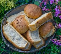 Hot Dog Onion Cream Cheese Parmesan Buns