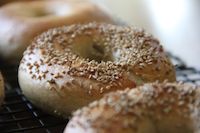 NY Style Bagels With Wild Sourdough