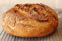 White, Rye, And Whole Wheat Sourdough