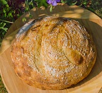 Semolina Kamut Porridge Bread