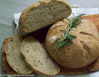 Panmarino - Italian Rosemary Bread