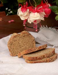 Sourdough Cornbread With Provencal Herbs