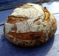 Sourdough