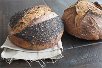 Seeded Whole Wheat Sourdough