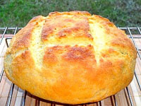 Broa - The Portuguese Bread