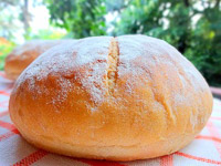 Whole Wheat Yogurt Sunflower Seed Loaves