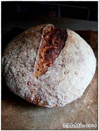 Oat & Flax Sourdough