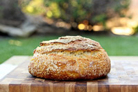 Sourdough Polenta Bread