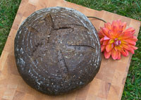 Pumpernickel Bread-Yeast Version
