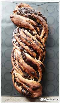 Chocolate Cinnamon Babka