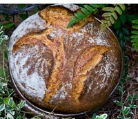 Durum Ricotta Porridge Bread