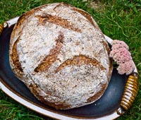 Asiago Caramelized Onions Porridge Bread