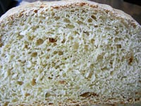 Roasted Garlic & Rosemary Bread