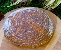 Red Lentil Sourdough Bread