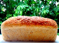 Cracked Wheat Bread