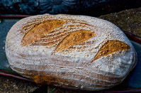 Durum Tangzhong Sourdough Act II