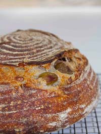 Olive Bread With Walnuts & Sunflower Seeds