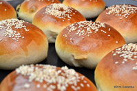 Butter Rolls With Dried Cranberries