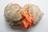 Pane Foglia Leaf Bread