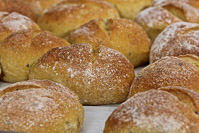 Sourdough Cornbread Rolls With Sage