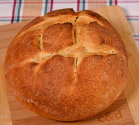 Beginner's Sourdough Bread