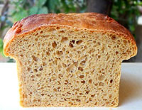 No Knead 100% Whole Wheat Bread