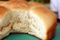 Soft and Simple Bread Rolls
