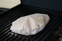 Spelt Sourdough Pita