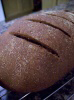 Multigrain Molasses Bread