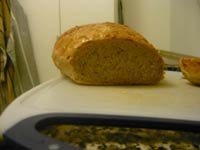 Wild Rice and Onion Bread