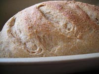 Whole Wheat Artisan Bread in 5 - Soaked
