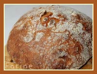 Jim Lahey's No-Knead Peanut Bread