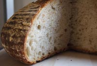 3 stage levain