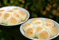 Perfect-ly Fast Dinner Rolls