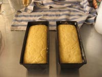 Batter Corn Bread