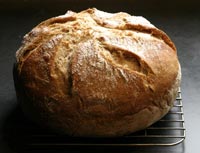 Multi-grain sourdough