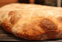 Rustic Bread and Rustic Olive-Herb Loaf