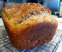 Whole Grain Cottage Cheese Bread